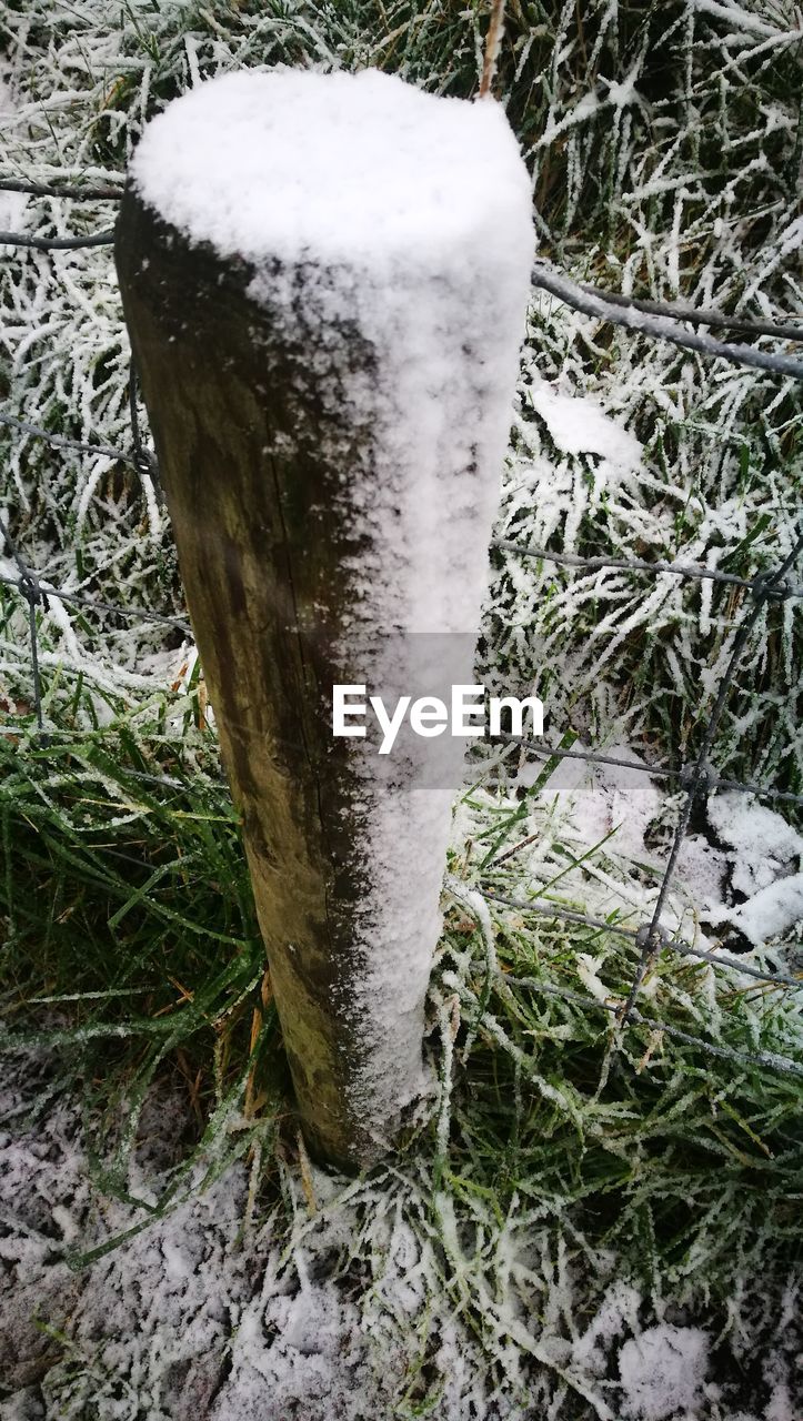 CLOSE-UP OF SNOW