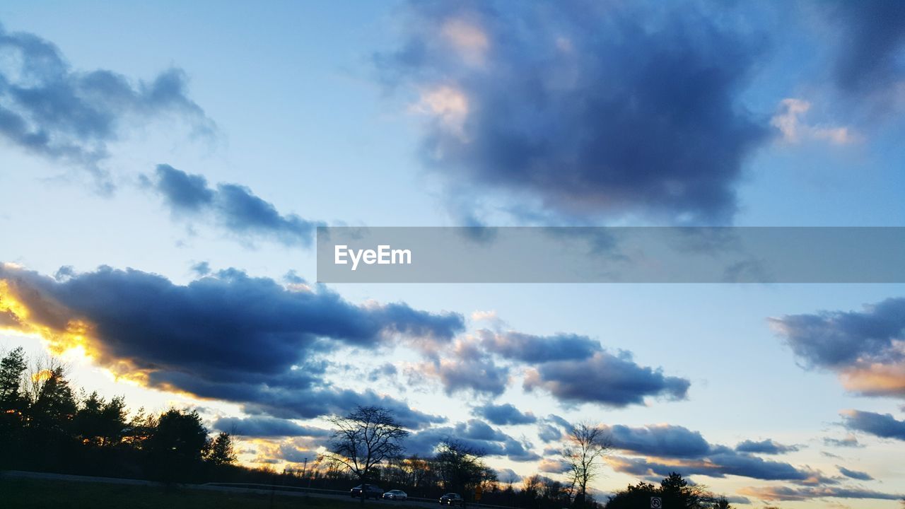 SILHOUETTE OF TREES AGAINST CLOUDY SKY