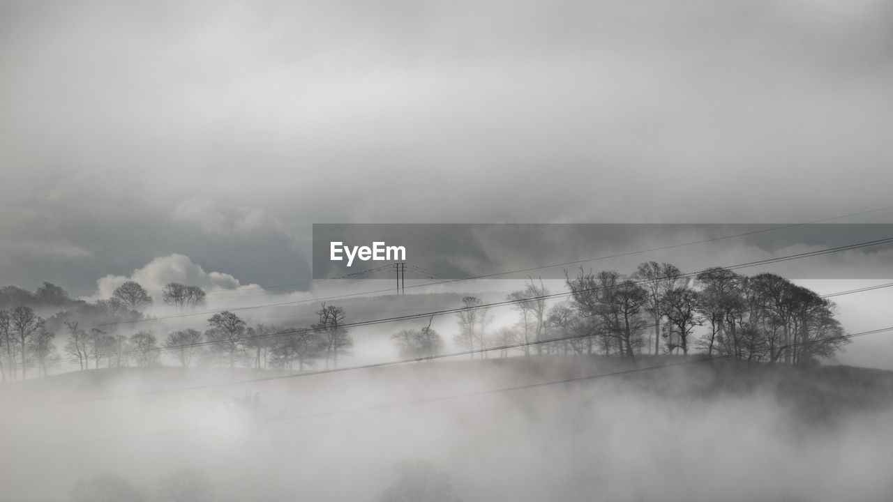 SCENIC VIEW OF TREES ON SNOW COVERED LANDSCAPE