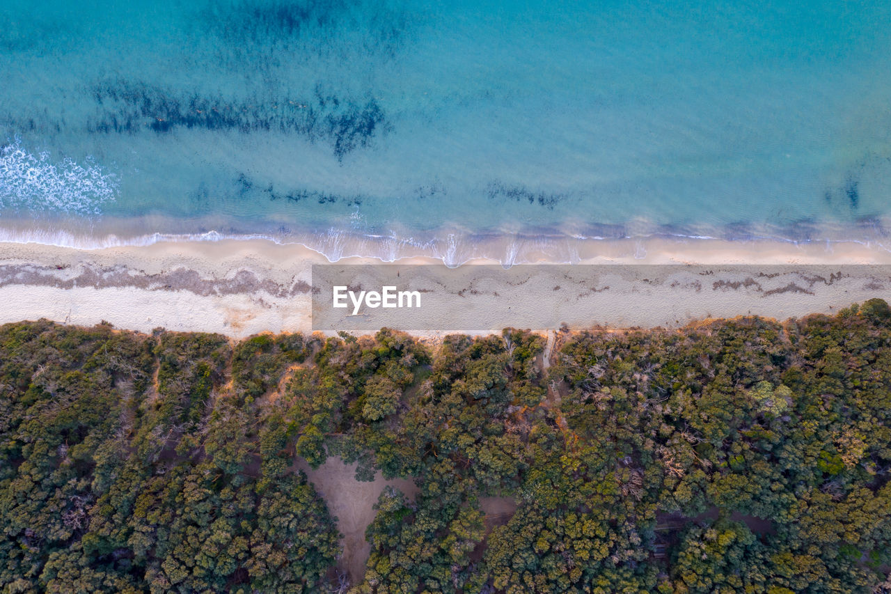 Aerial view of green landscape by beach