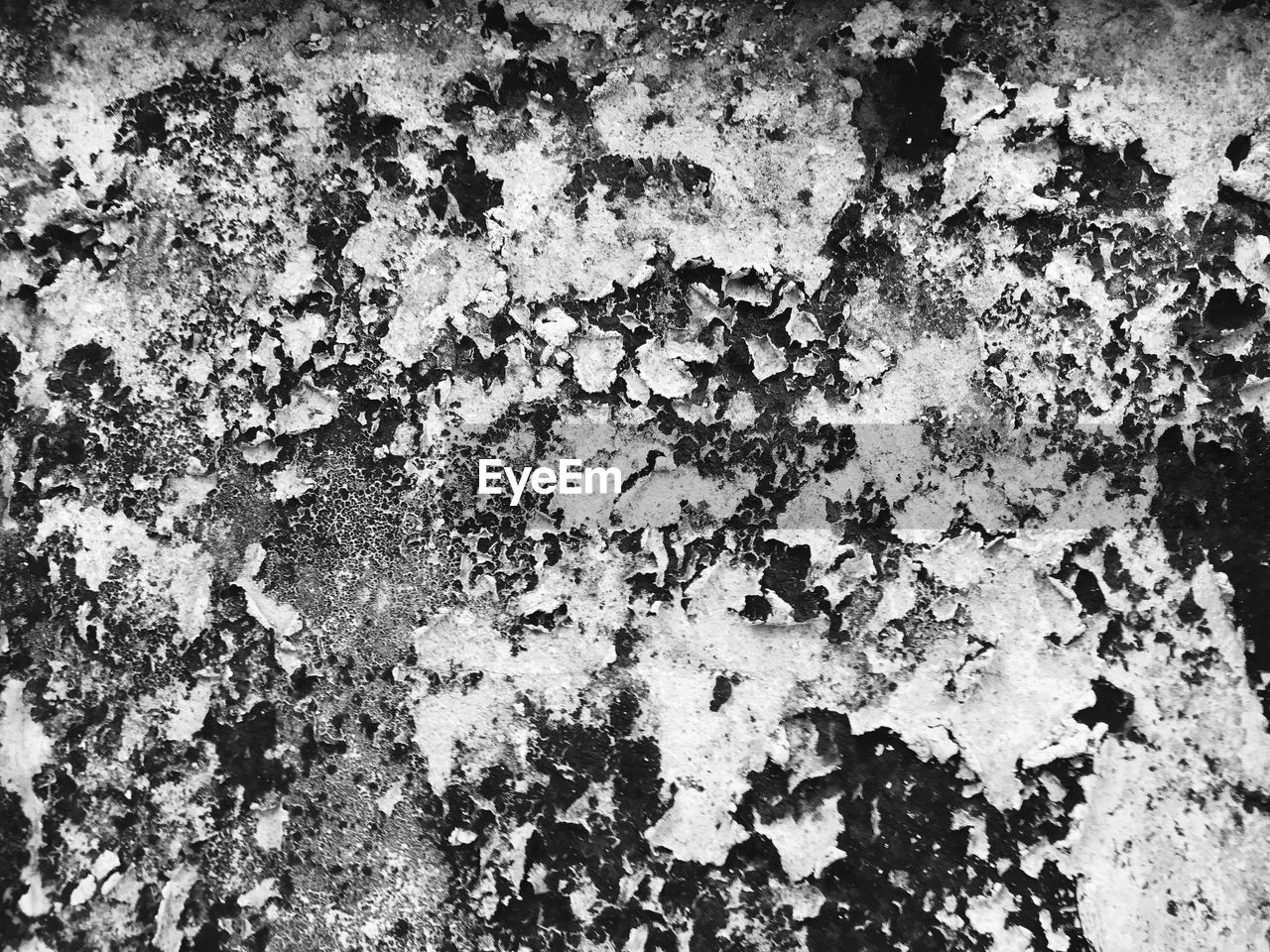 FULL FRAME SHOT OF LICHEN SIGN ON ROCK