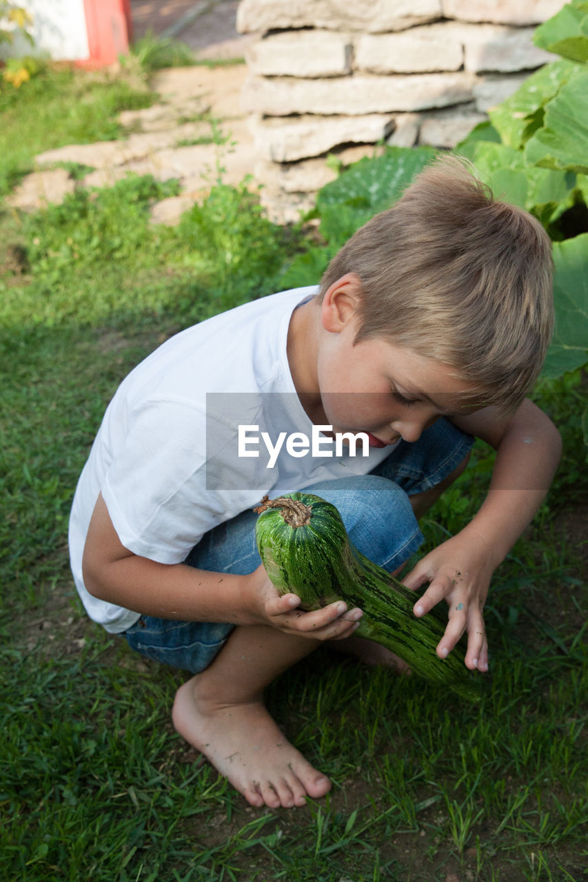 Cute boy holding vegetable on field