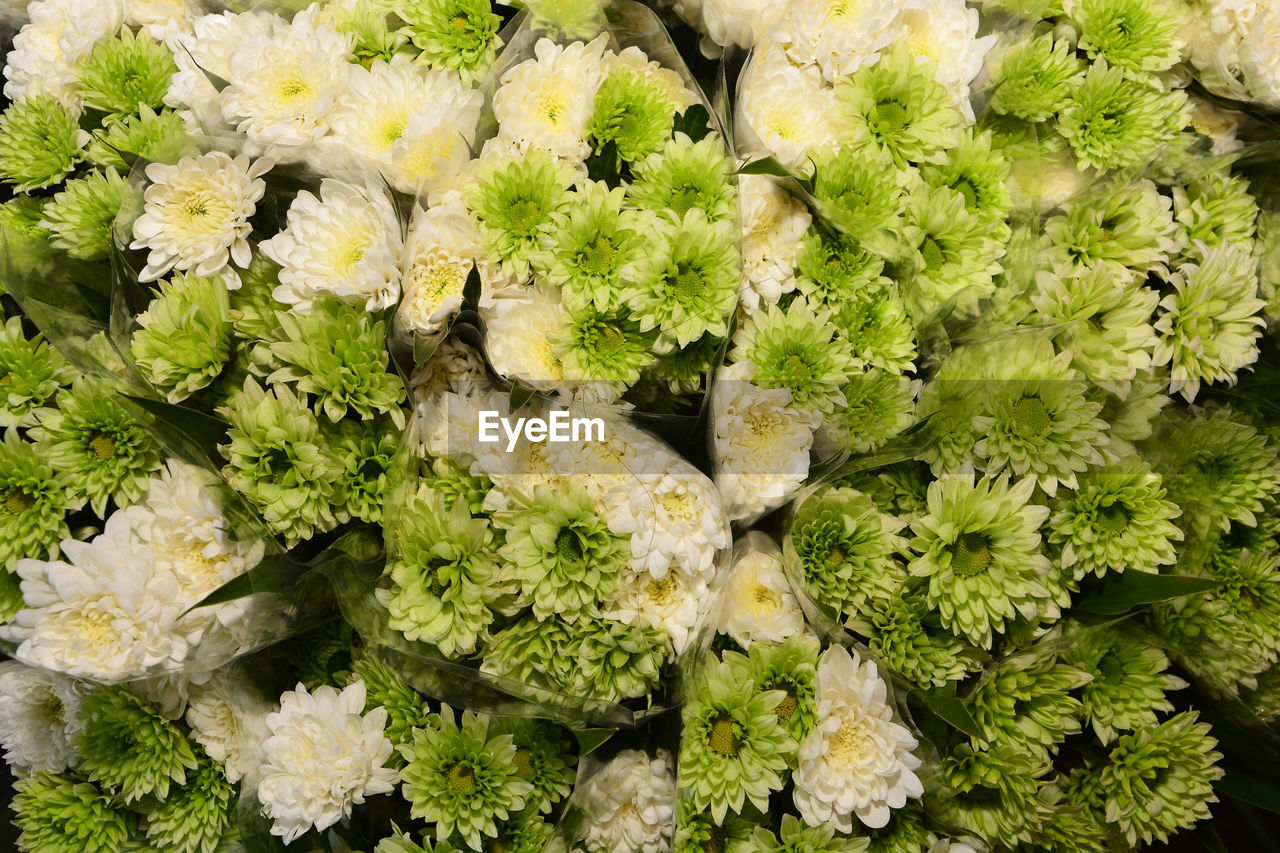 HIGH ANGLE VIEW OF VEGETABLES