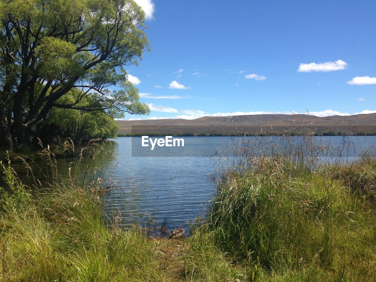 SCENIC VIEW OF LAKE