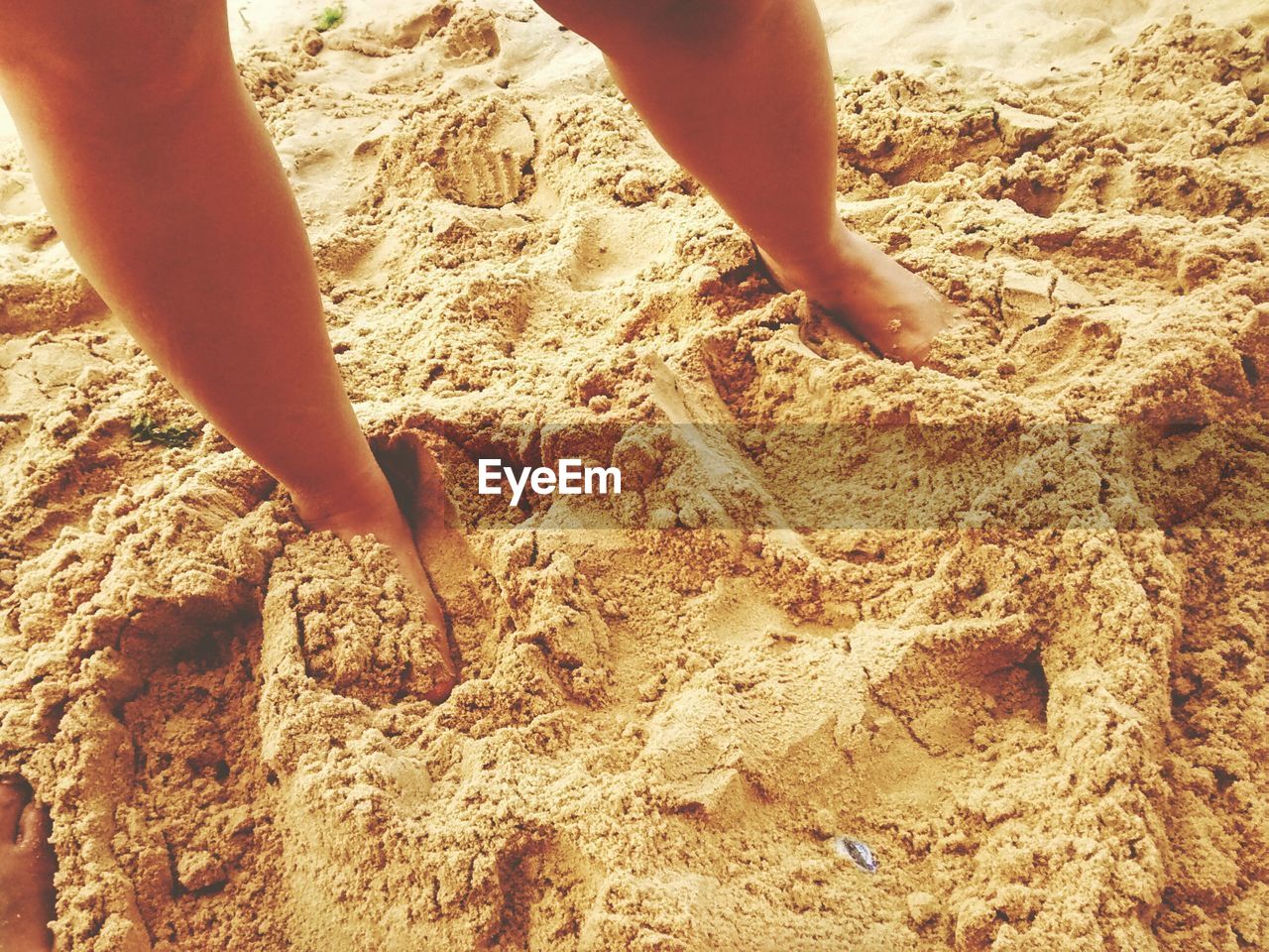 Low section of person standing at sandy beach