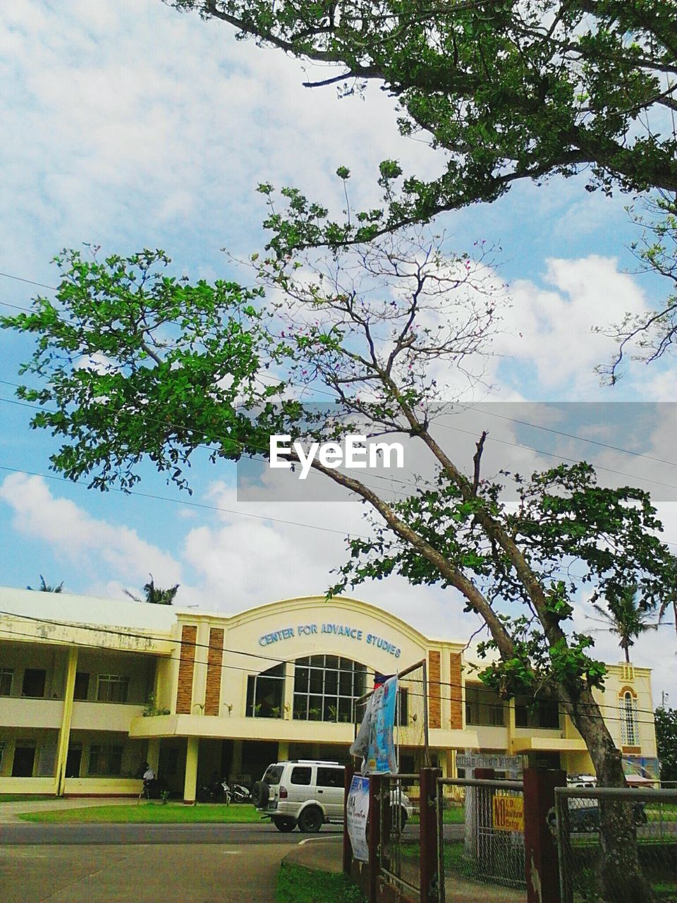 TREES AGAINST BUILT STRUCTURE