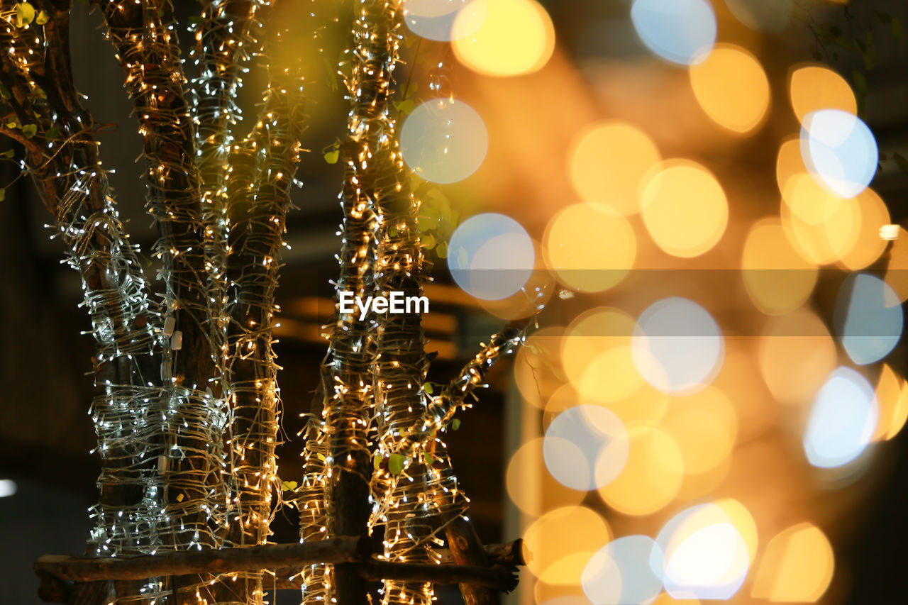 Close-up of illuminated tree and defocused light at night