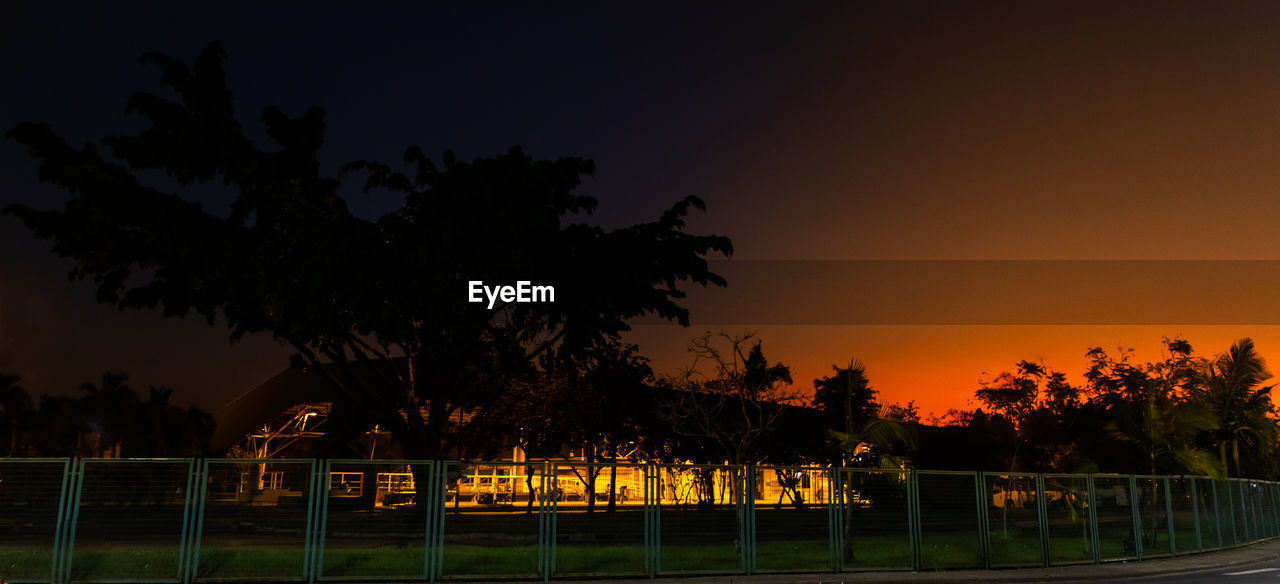 SILHOUETTE TREES BY PLANTS AGAINST SKY AT NIGHT