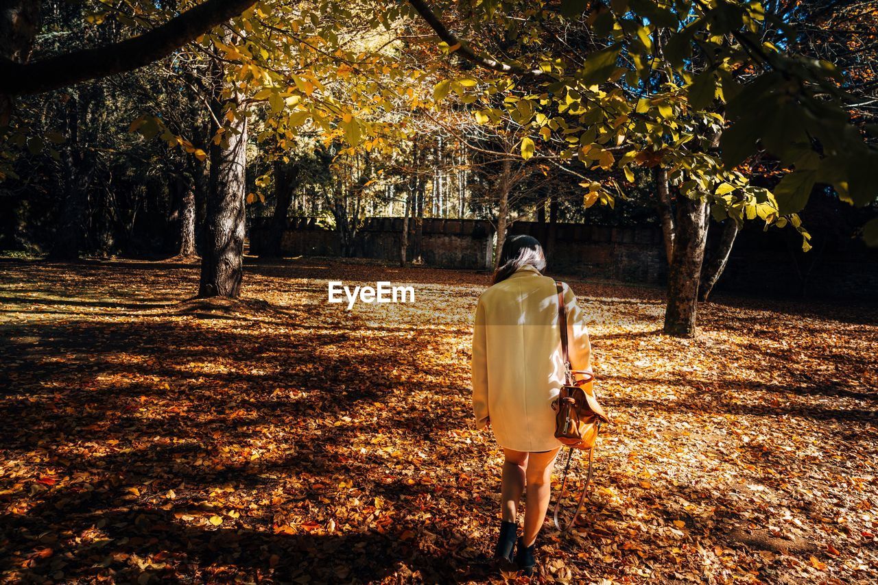 Rear view of woman walking in park during autumn