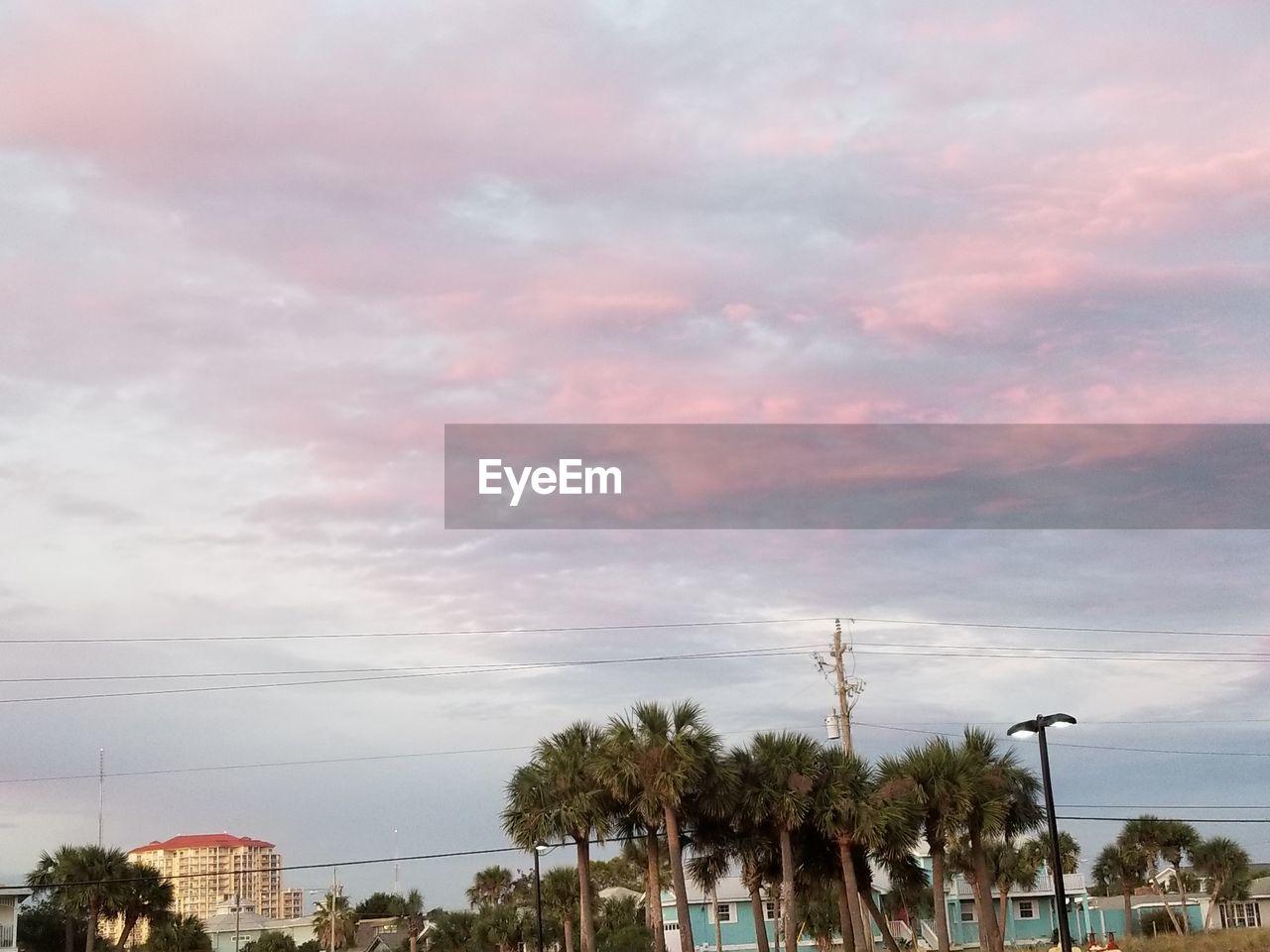 PALM TREES IN CITY AGAINST SKY