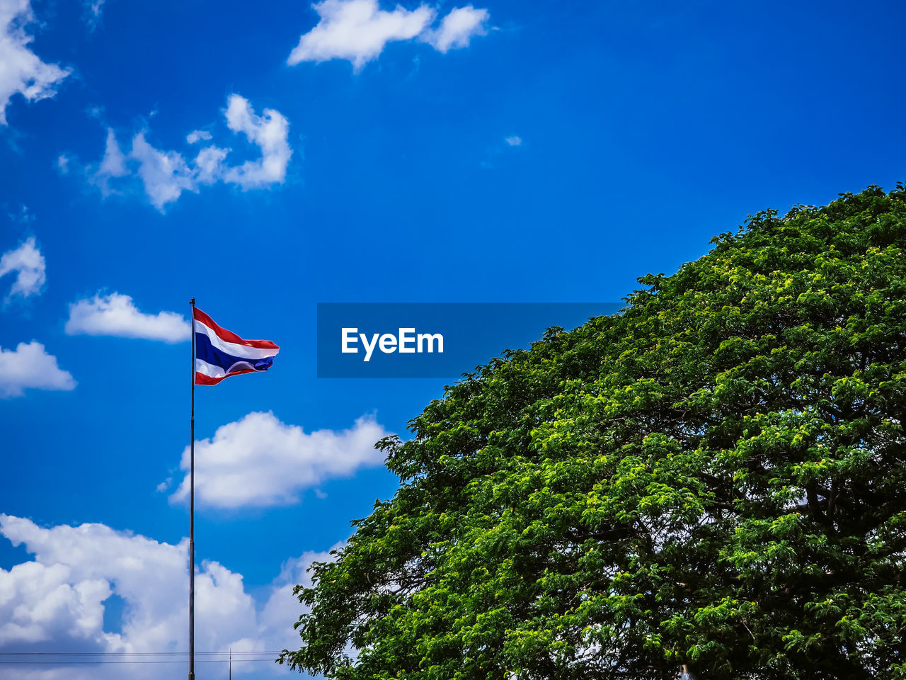 Low angle view of flag against blue sky