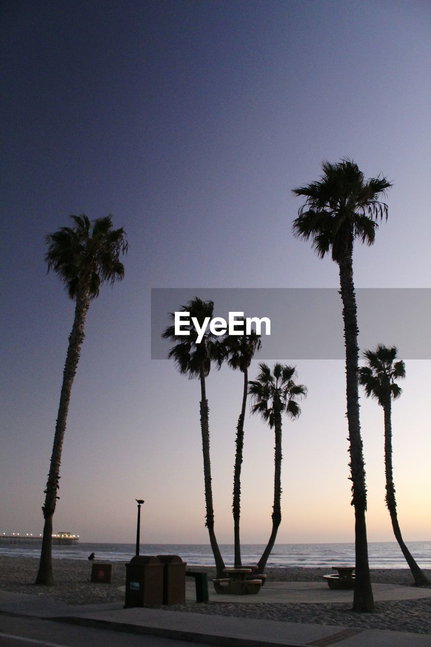 SILHOUETTE PALM TREES AGAINST CLEAR SKY AT SUNSET