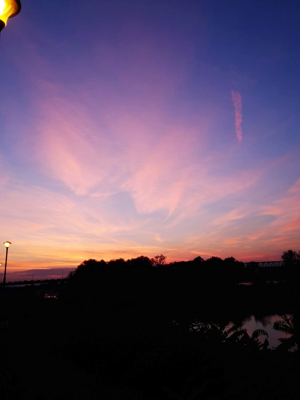 SILHOUETTE TREES ON LANDSCAPE AGAINST SKY AT SUNSET