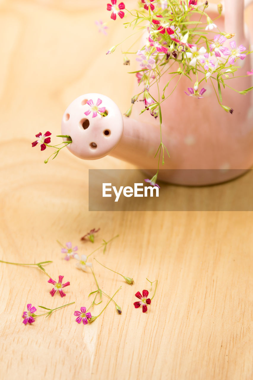 High angle view of flowers in ceramic can