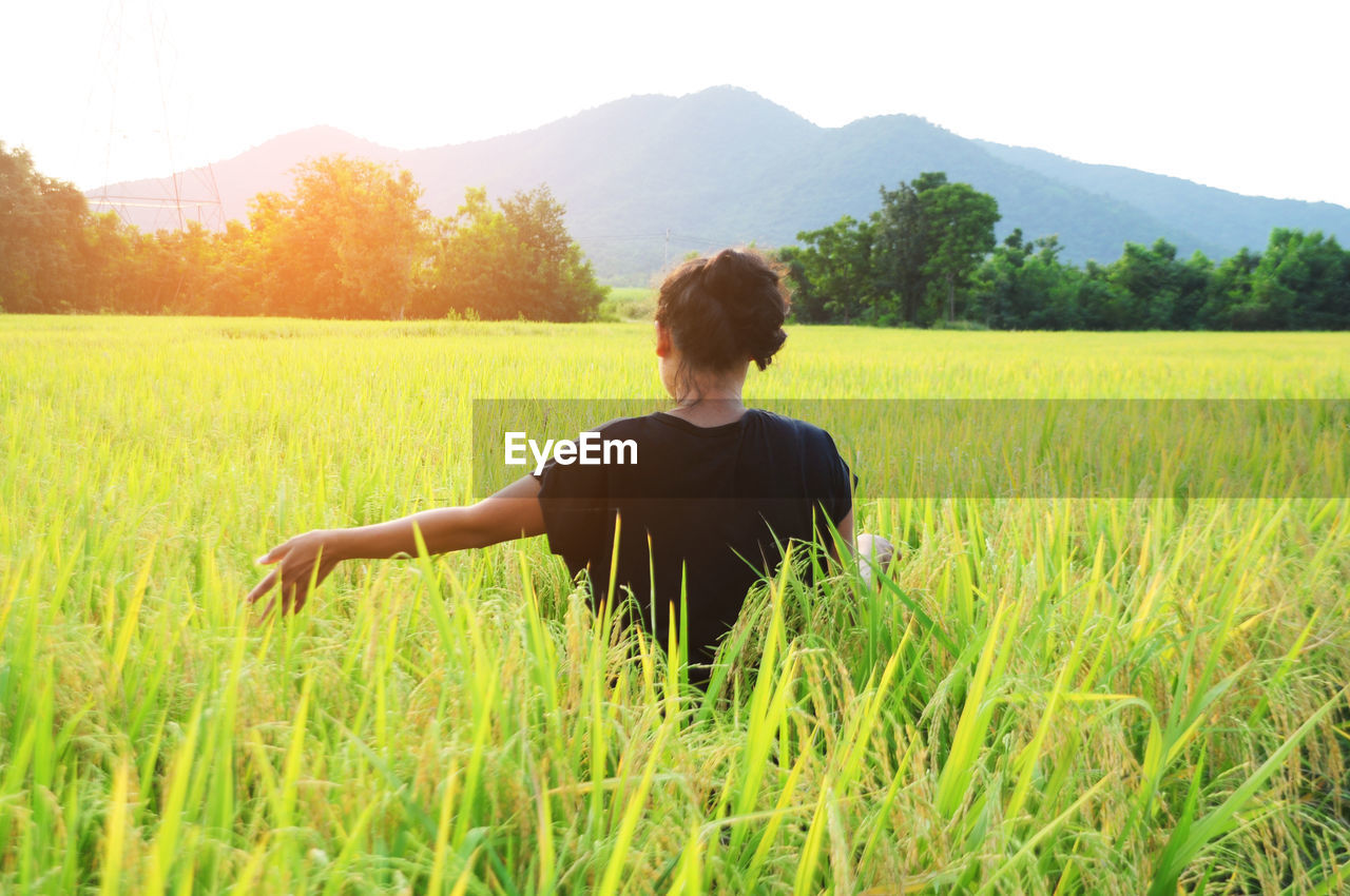 Rear view of woman in rice field