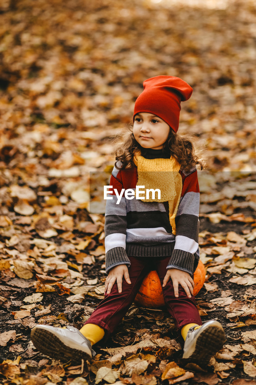 Happy cute little child in warm bright clothes sitting on a pumpkin in the autumn forest outdoors