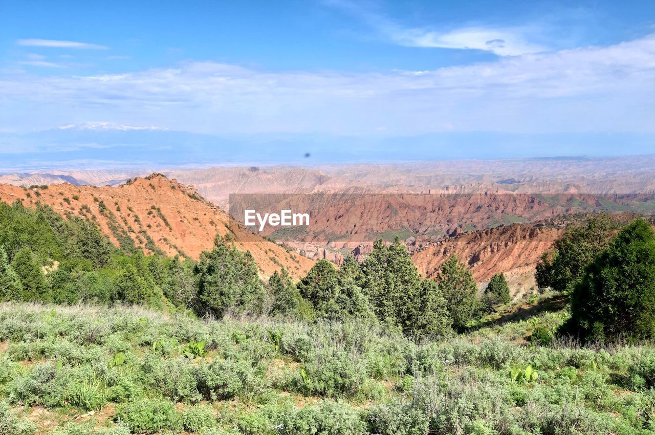 Scenic view of landscape against sky