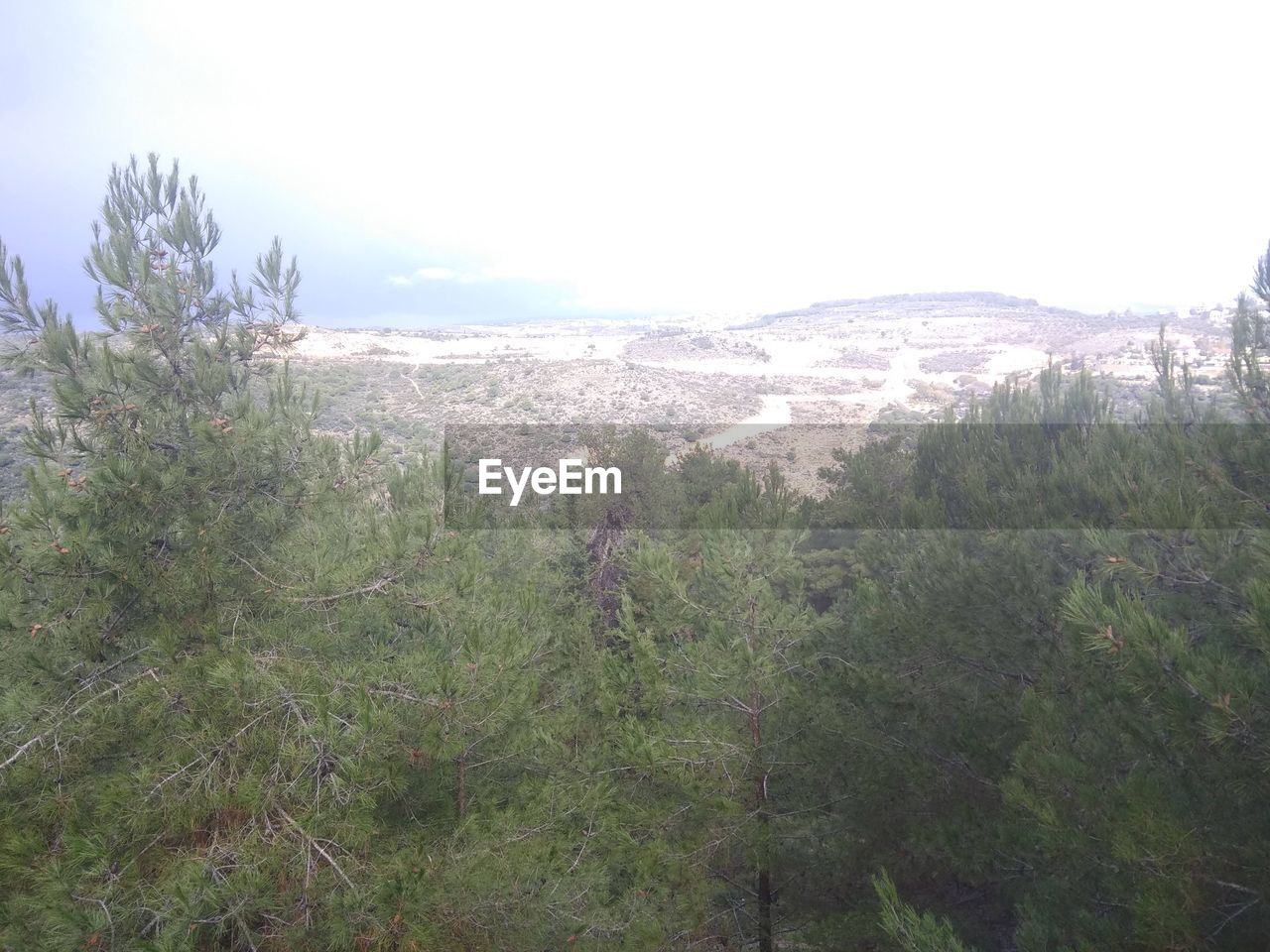 SCENIC VIEW OF LAND AGAINST SKY