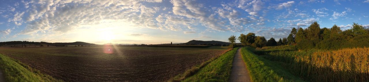 Sun setting over field