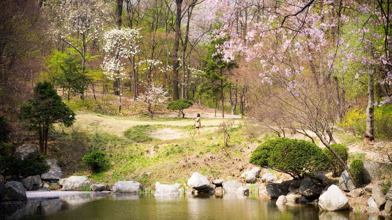 View of trees on riverbank