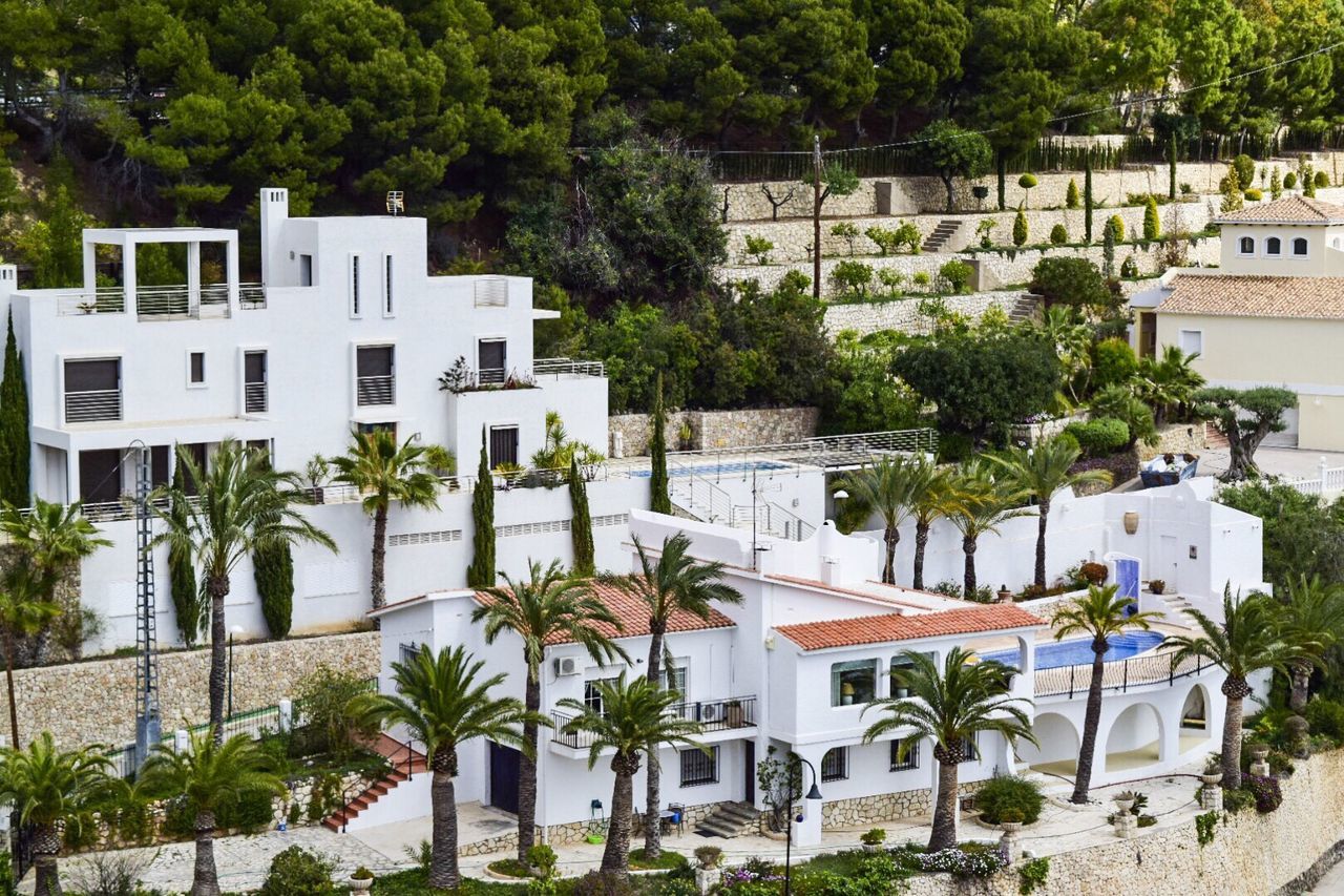 HIGH ANGLE VIEW OF HOUSES BY TREES