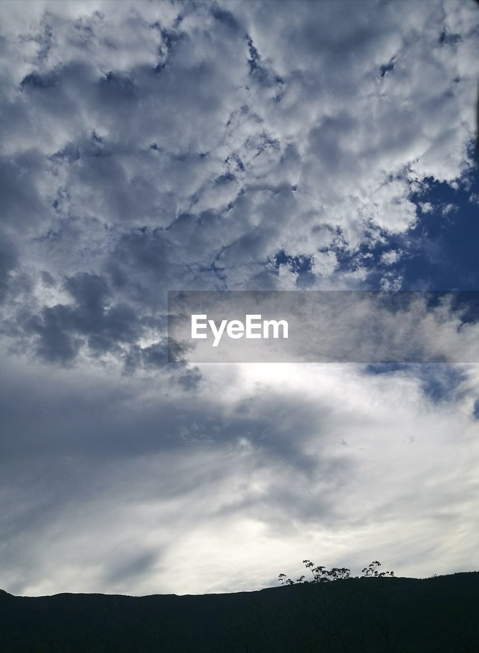 SILHOUETTE OF TREE AGAINST CLOUDY SKY