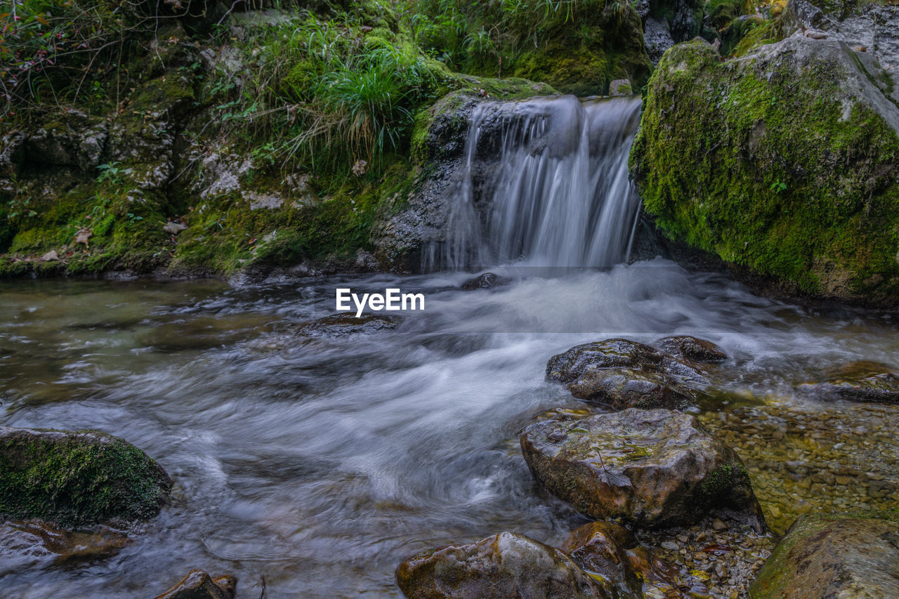 WATERFALL IN FOREST