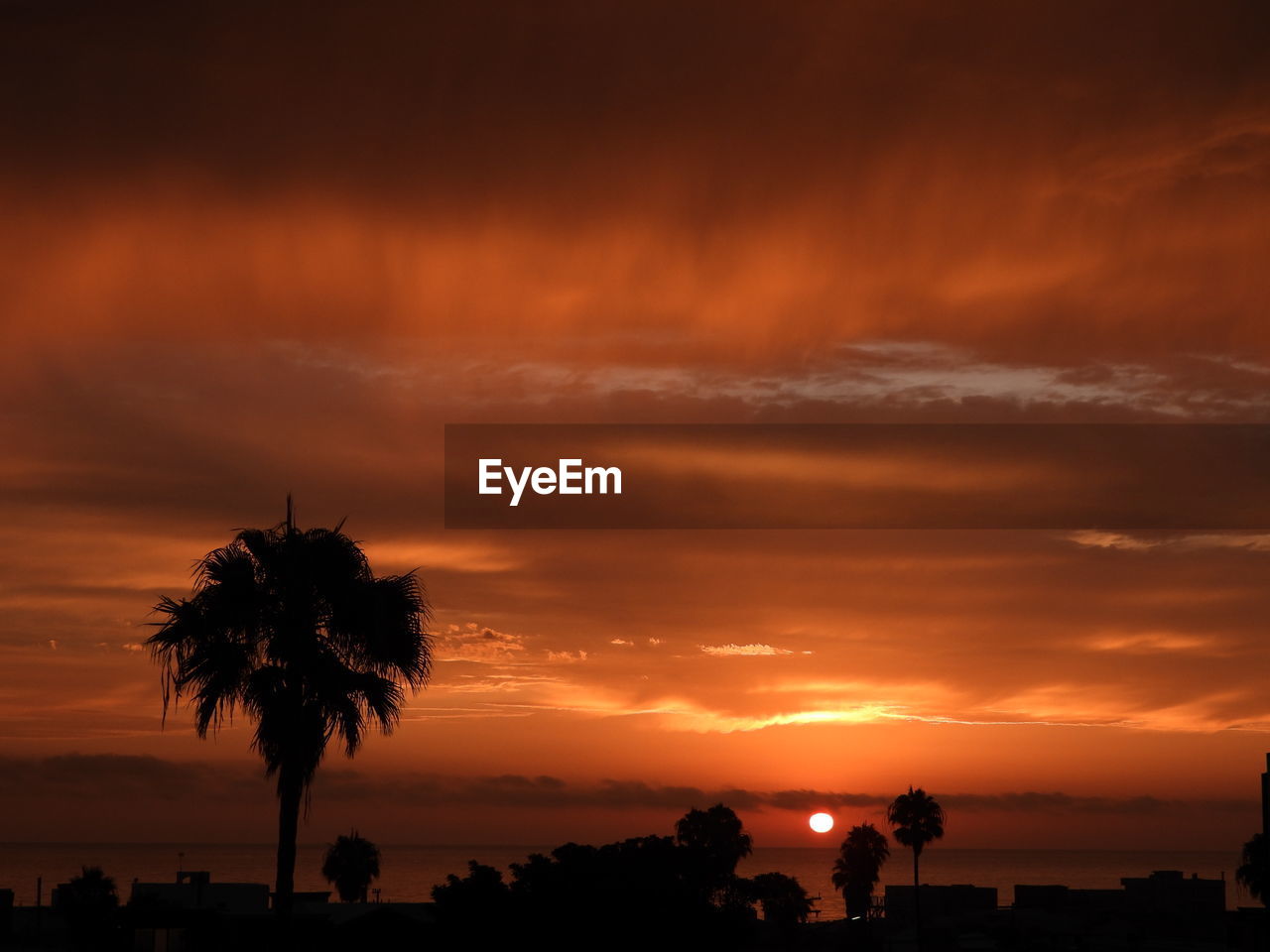 Silhouette palm trees against sky during sunset