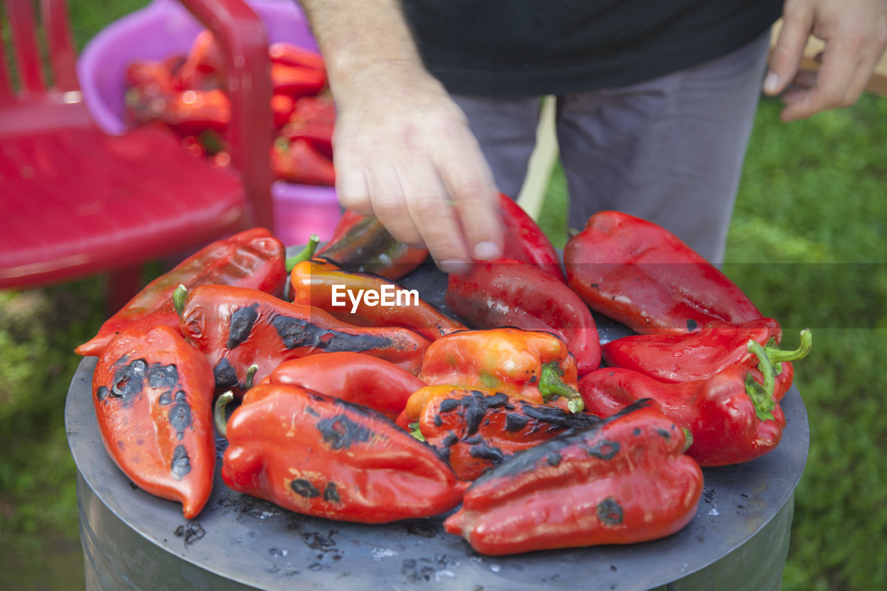 CLOSE-UP OF PERSON HOLDING RED CHILI