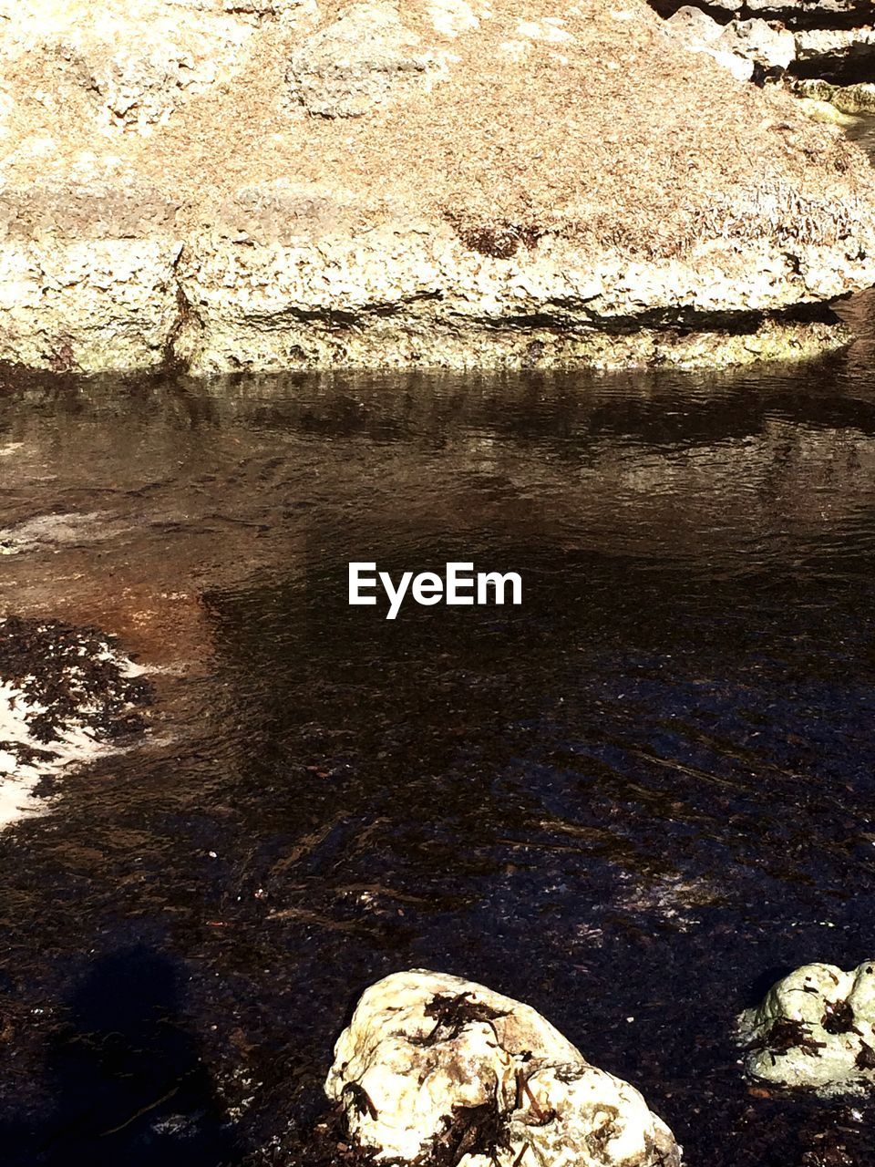 CLOSE-UP OF REFLECTION IN WATER