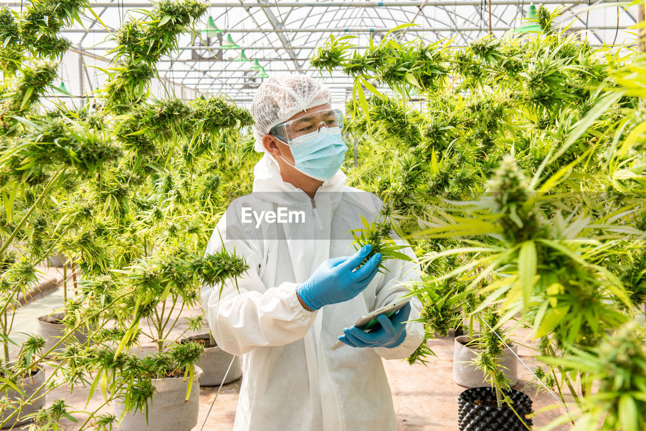 PORTRAIT OF PERSON STANDING BY PLANTS IN FARM