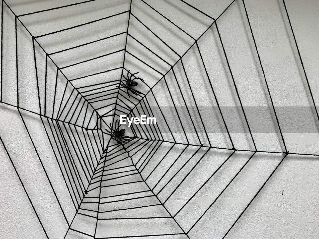 Spiderwebs background 