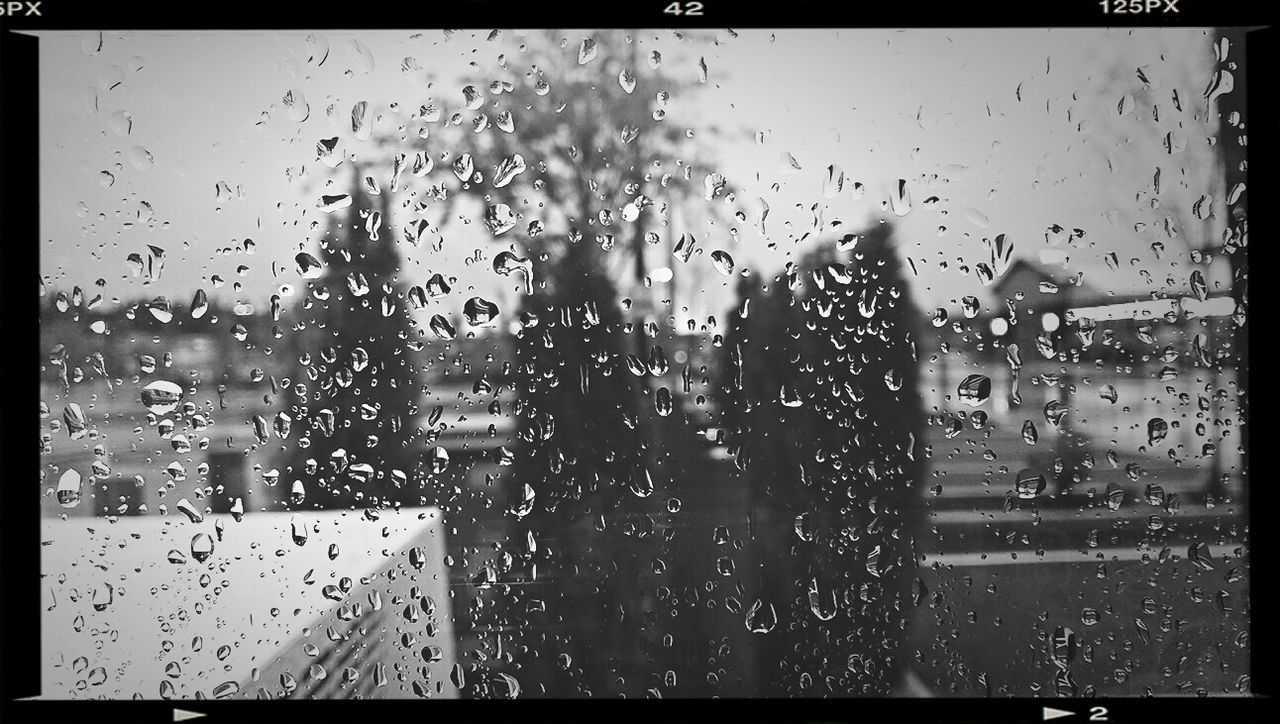 WATER DROPS ON GLASS