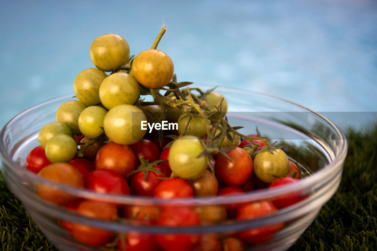 close-up of tomatoes in bowl