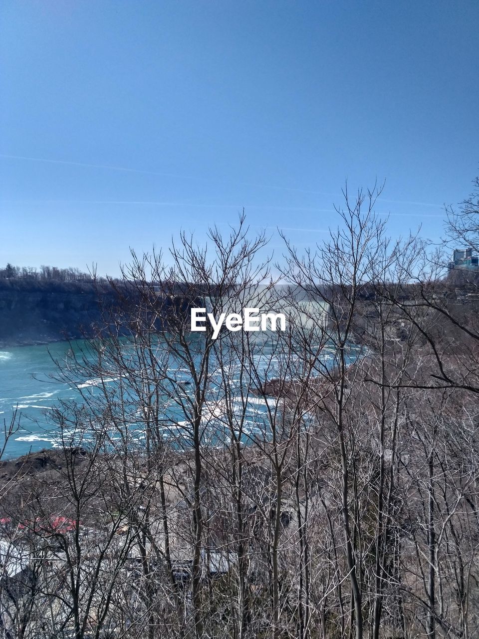 SCENIC VIEW OF BLUE SKY AND TREES AGAINST CLEAR BACKGROUND