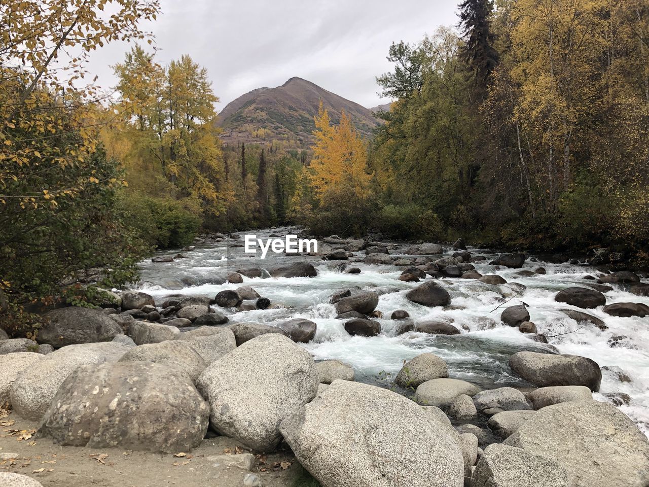 Beautiful summer day by the river in alaska. 