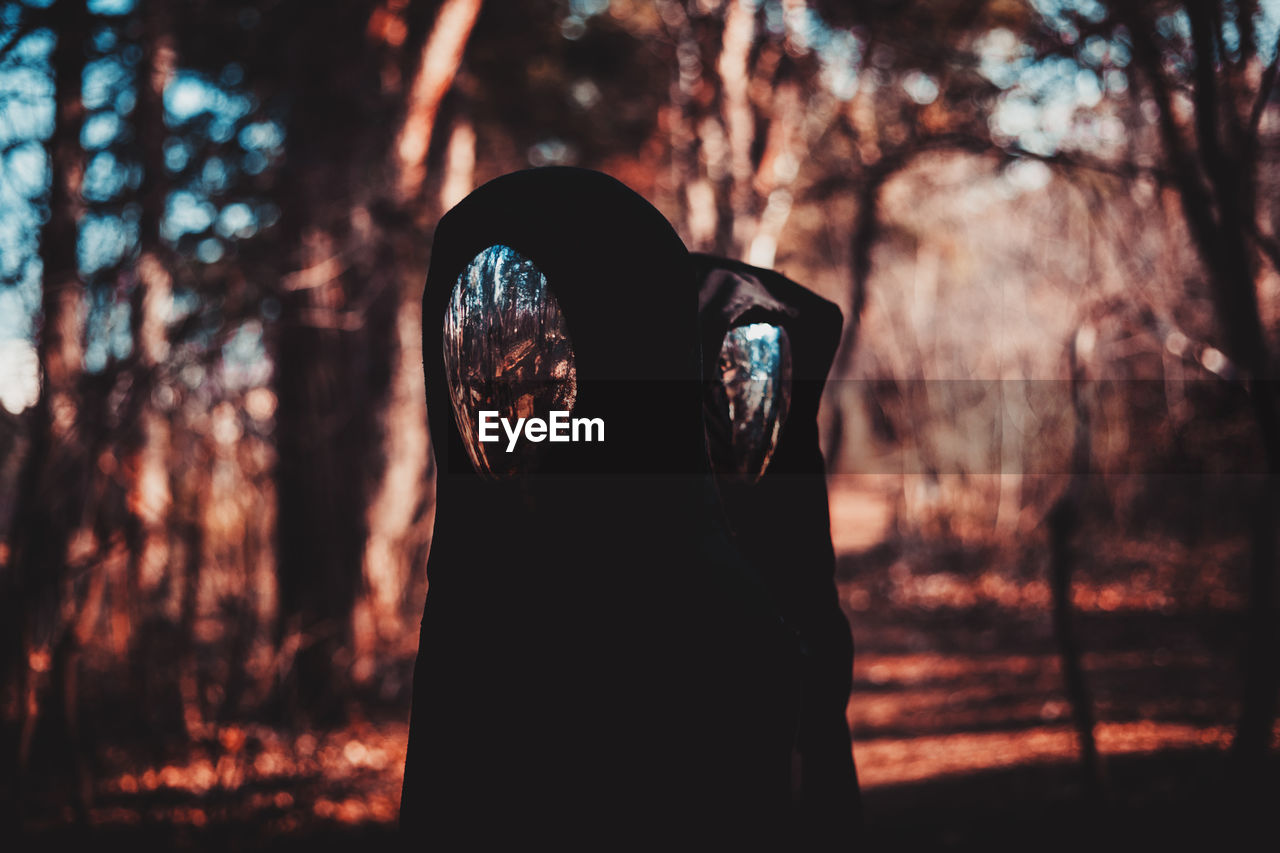 Close-up of bare trees against the sky