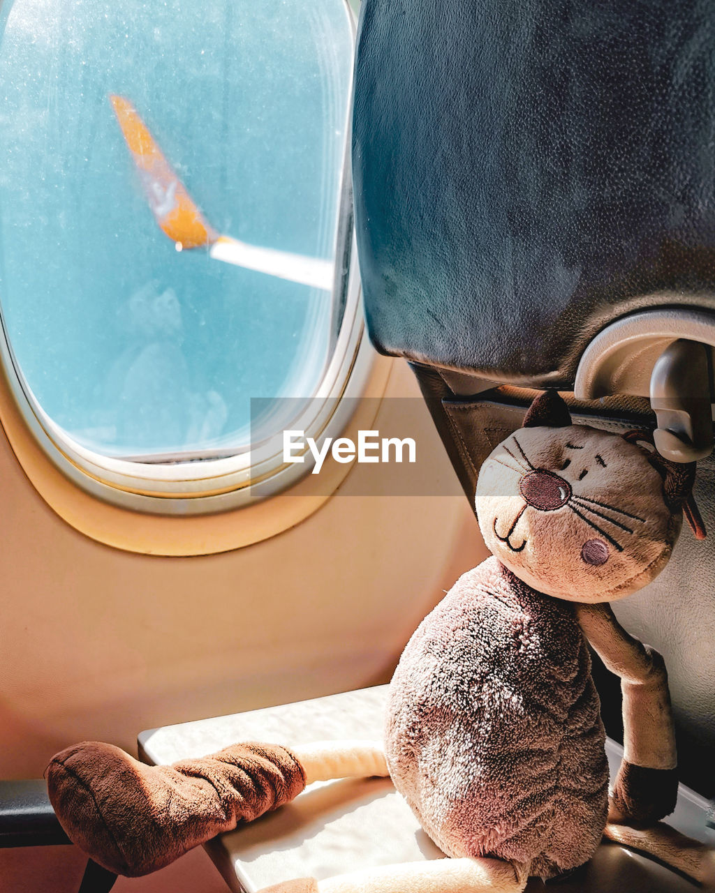 Stuffed toy by window in airplane