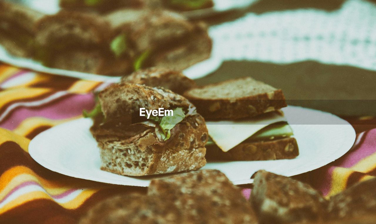 Close-up of sandwich in plate on picnic blanket