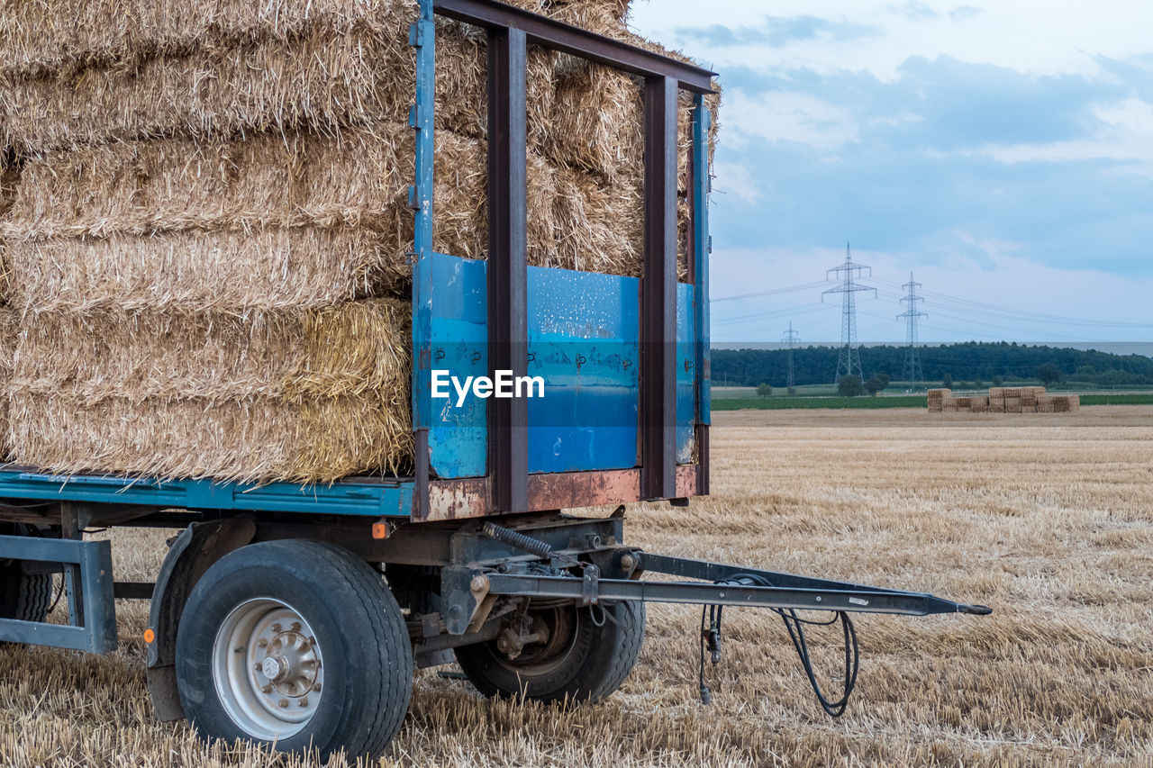 CLOSE-UP OF HAY BALES ON FIELD