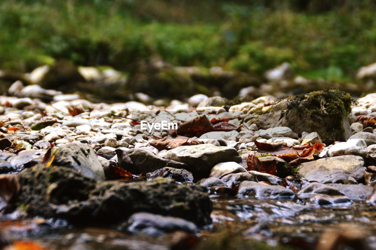 SURFACE LEVEL OF STONES ON PEBBLES