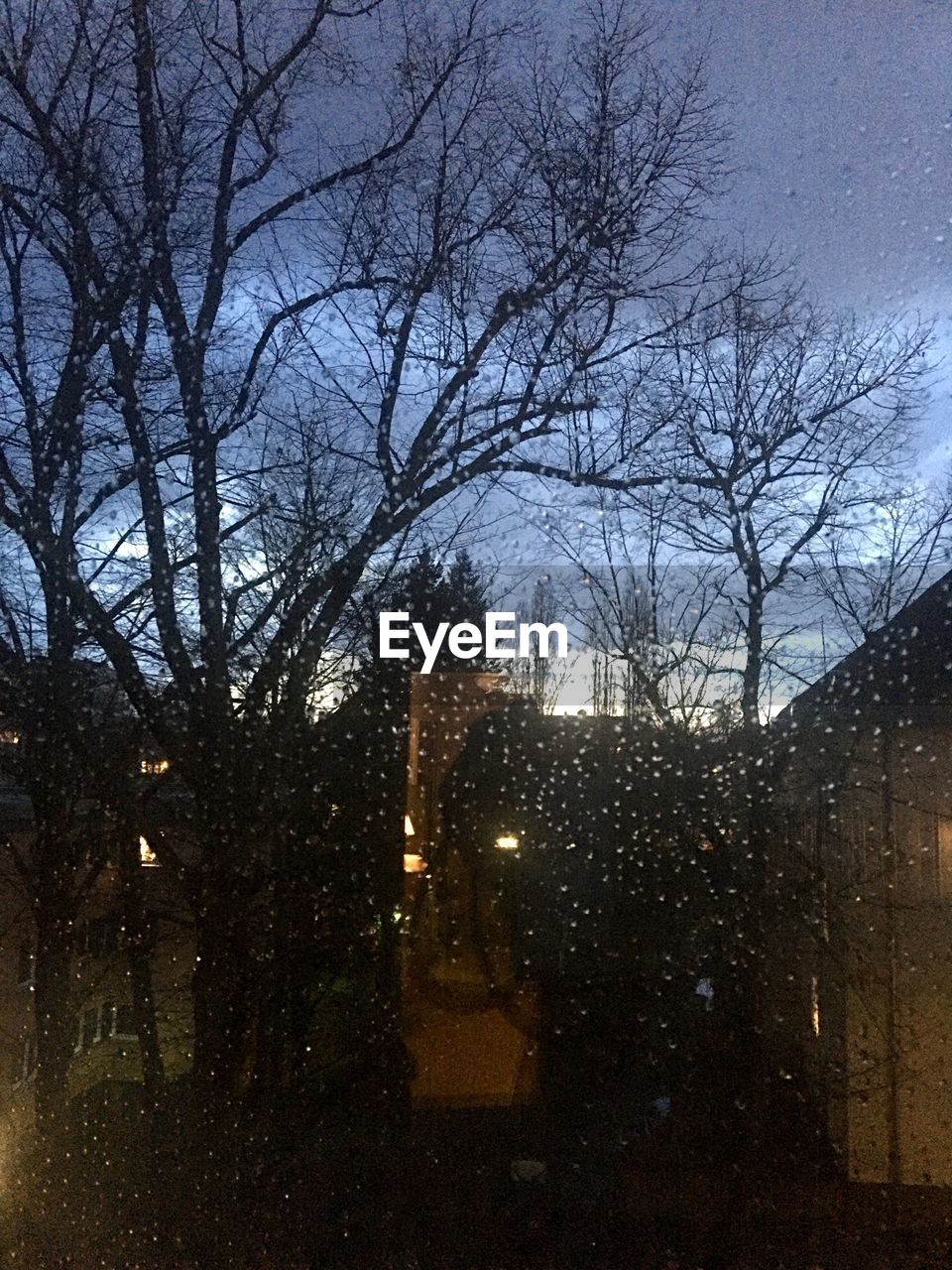 BARE TREES BY BUILDINGS AGAINST SKY AT DUSK