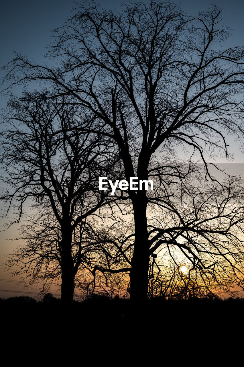 Silhouette bare tree on field against sky at sunset