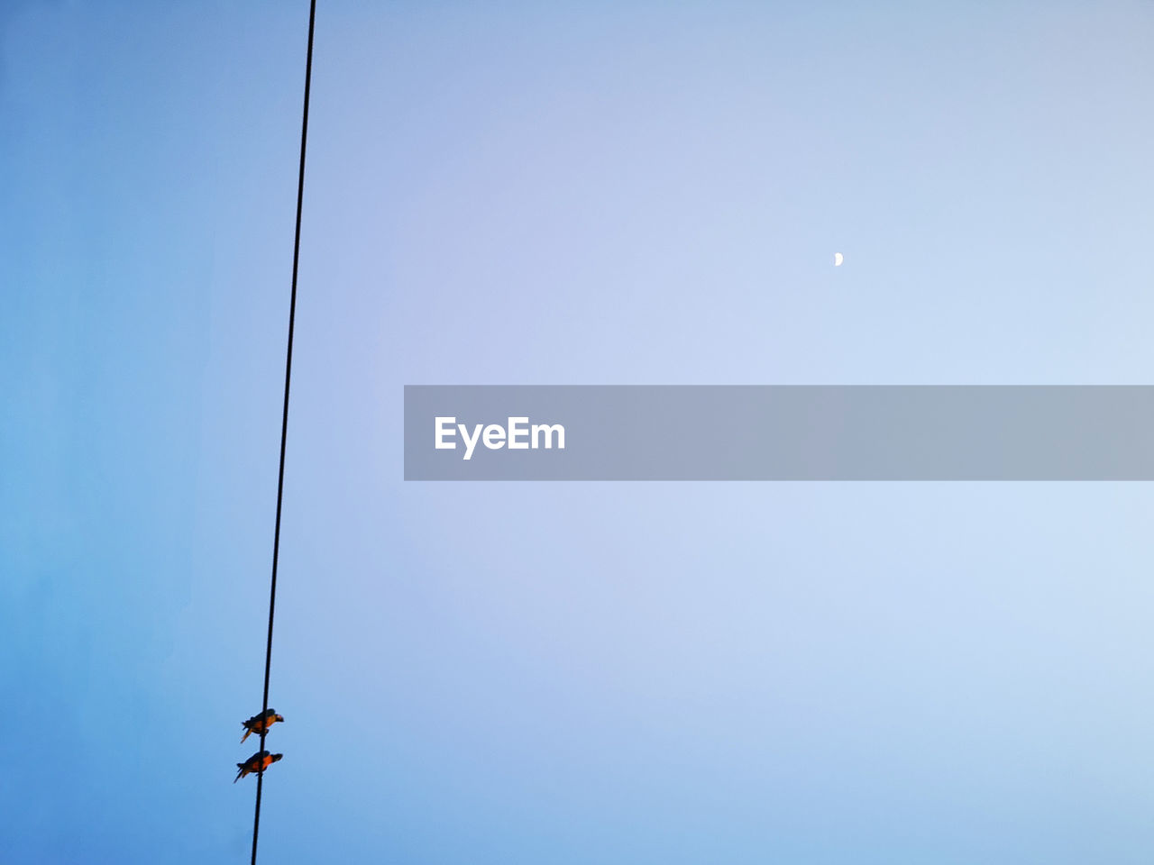 LOW ANGLE VIEW OF COMMUNICATIONS TOWER AGAINST SKY