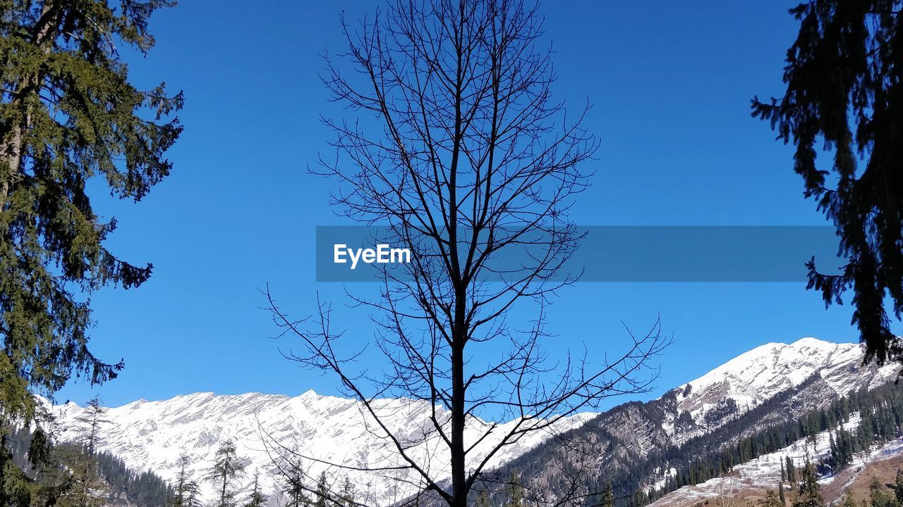 LOW ANGLE VIEW OF SNOWCAPPED MOUNTAINS AGAINST BLUE SKY