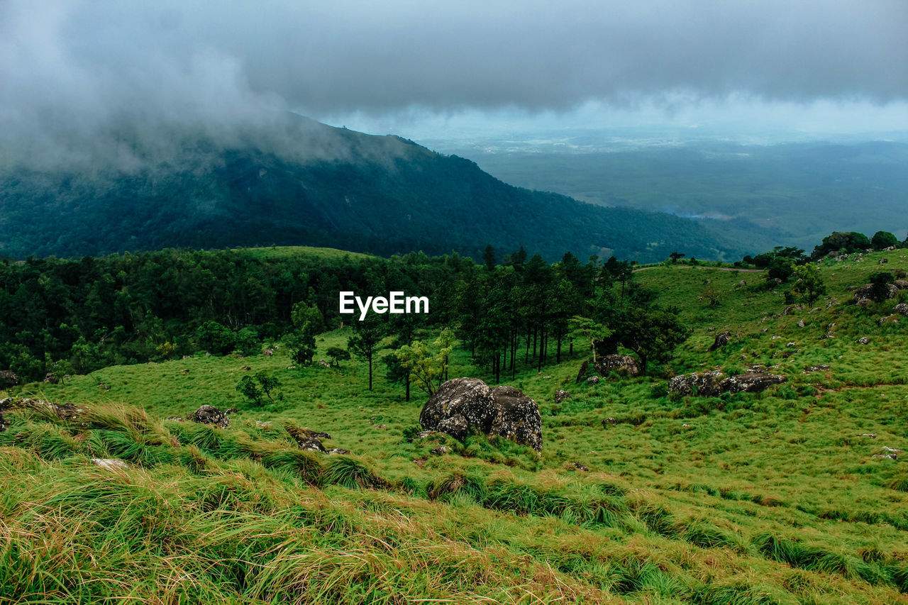 Scenic view of landscape against sky