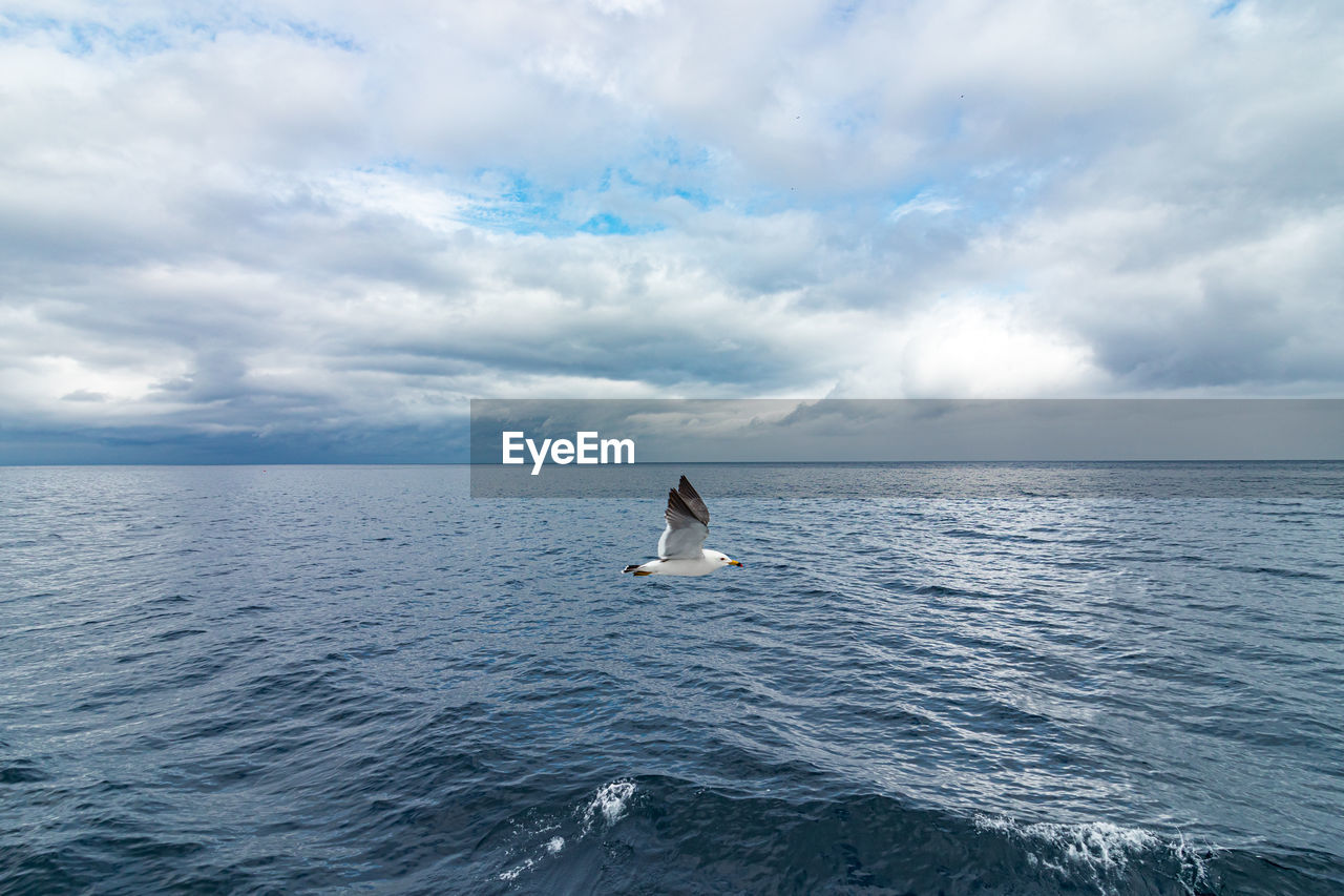 MAN IN SEA AGAINST SKY