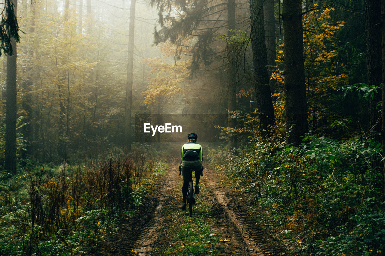 Gravel riding in the misty forest.