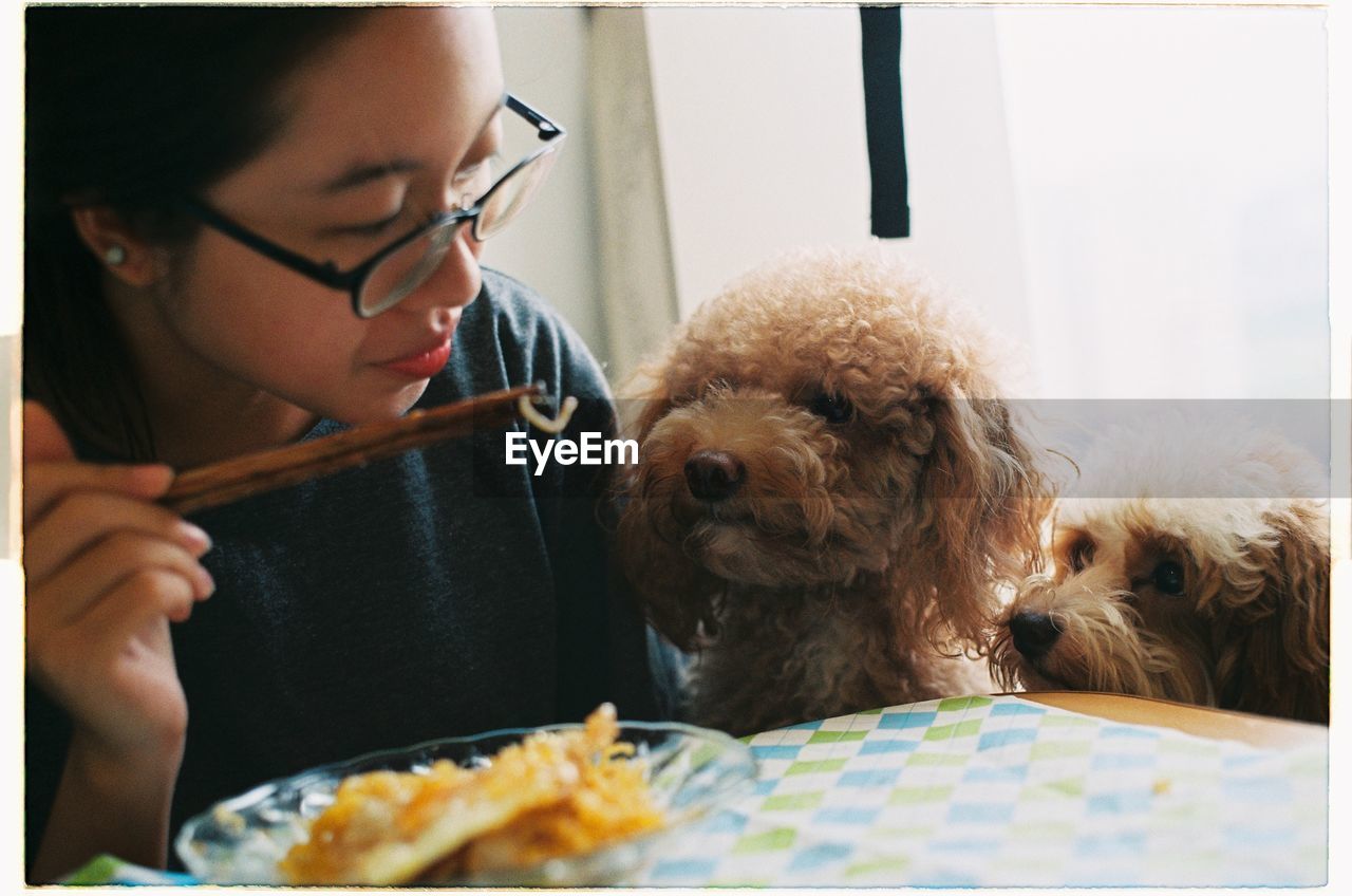 Young woman feeding dogs