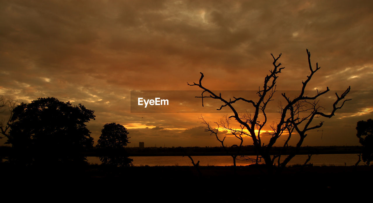 SILHOUETTE TREE ON FIELD AGAINST SKY DURING SUNSET